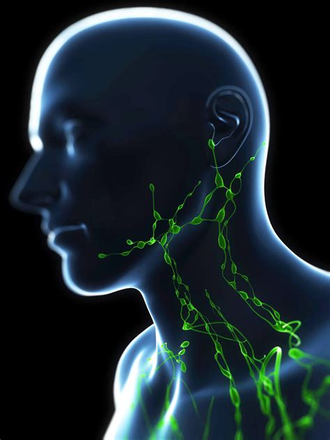 Skin Cancer In Lymph Nodes