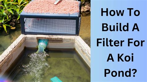 How To Build A Filter For A Koi Pond? | Koi Seller