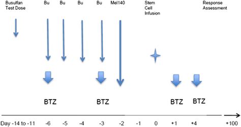 Treatment Schema Following a Busulfan (Bu) test dose (0.8mg/kg) prior... | Download Scientific ...