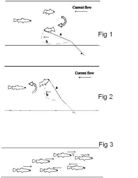 Hooking Salmon On The Fly | Salmon Fishing Forum