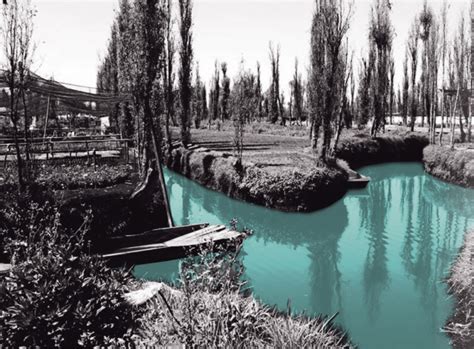 Chinampas agriculture and settlement patterns – Circular Water Stories