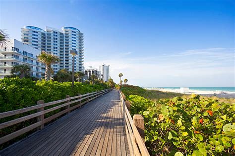 390+ Miami Beach Boardwalk Stock Photos, Pictures & Royalty-Free Images - iStock