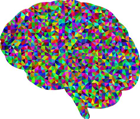 Download Colorful Geometric Brain Pattern | Wallpapers.com