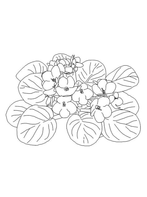 Violet Flowers to Print coloring page - Download, Print or Color Online for Free