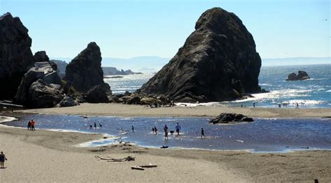 Brookings Tourism: 17 Things to Do in Brookings, OR | TripAdvisor Cool Places To Visit, Places ...