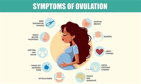 Symptoms of Ovulation Period - Easyworknet