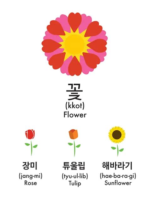 How to Say Flower in Korean - Learn Korean with Fun & Colorful Infographics