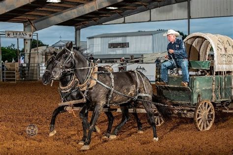 Tejas Rodeo Tickets - Bulverde, TX