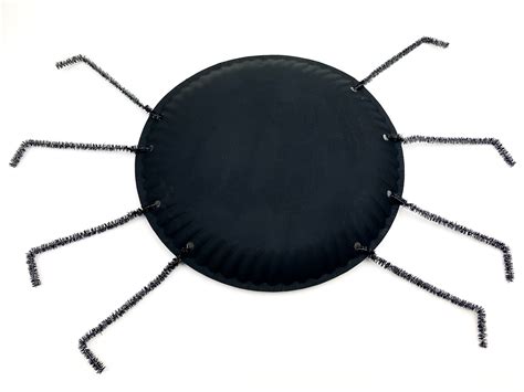 Spider Paper Plate Craft for Kids - The Mommyhood Life