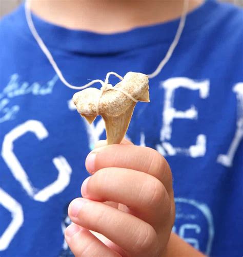 Shark Tooth Necklace Tutorial