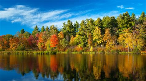 Fondos de pantalla : Árboles, paisaje, bosque, otoño, lago, agua, naturaleza, reflexión, río ...