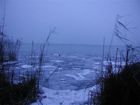 Winter at the lake Balaton 200 Free Photo Download | FreeImages