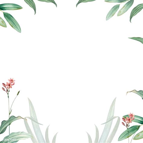 Green botanical leaves background design | free image by rawpixel.com ...