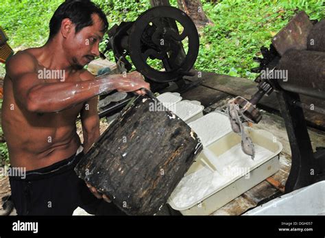 The production process of natural rubber in Thailand Stock Photo - Alamy