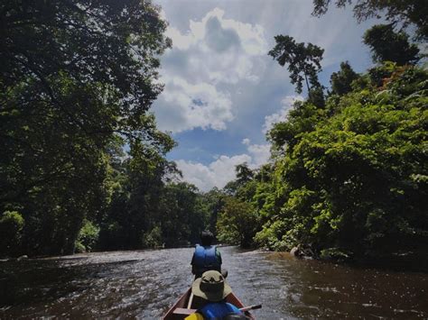 A Fun Packed Of List Of Taman Negara Activities To Explore