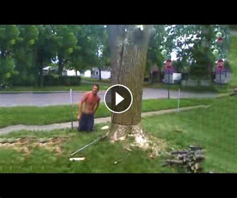 Tractorgallery.net 2021 Funniest Tree Cutting Fails