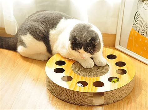 Keep Your Furry Friends Entertained With These Cat Toys – SPY