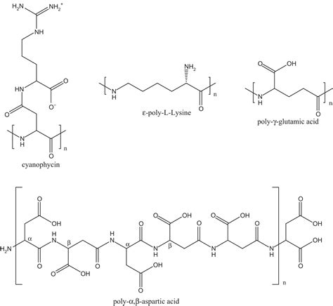 CHAPTER 1 Bio-based Polymers and Materials (RSC Publishing) DOI:10.1039 ...