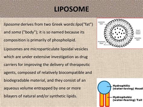 Liposomal drug delivery system