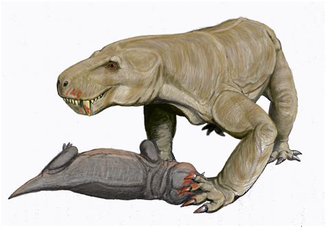 Gorgonopsids (Gorgonopsia) are theriodonts, a major group of therapsids that included the ...