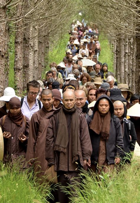 The Plum Village Tradition of Zen Master Thich Nhat Hanh