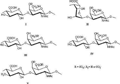 Idealized structure of chondroitin sulfate (CS) chains: CS-A ( I ...