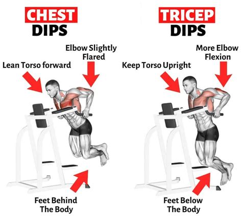 Chest Dips vs. Triceps Dips – What’s the Difference? – Fitness Volt