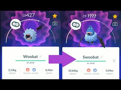 WOOBAT evolution into SWOOBAT in Pokemon GO!! Trainer Ari - YouTube