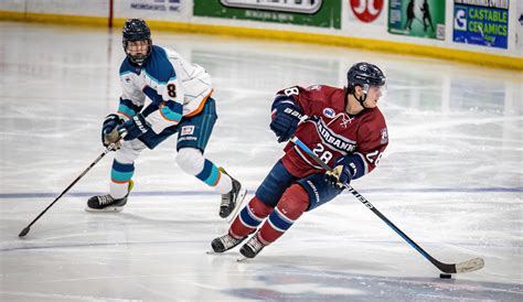 NAHL Weekend Wrap: Kenai River Brown Bears trend up, Anchorage Wolverines trend down, Fairbanks ...