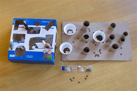 Your Cat | DIY puzzle feeders | Cat Craft