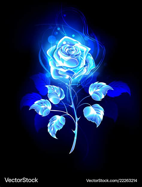 Burning blue rose Royalty Free Vector Image - VectorStock