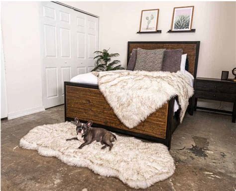 12 Fancy Dog Beds to Suit Your Style and Decor - The Opulent Hound