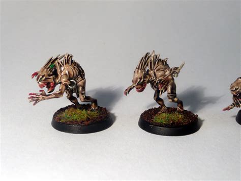 Converted Kroot Hounds | Tales from the Warzone