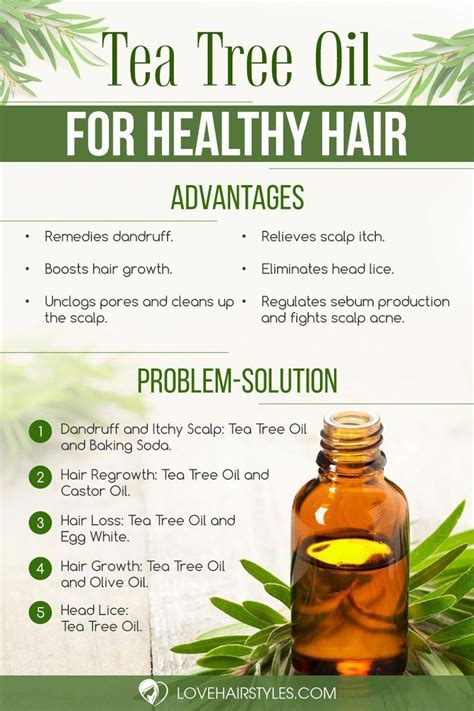 Reasons To Use Tea Tree Oil For Hair And How To Do It Right #HairDesignForWedding | Tea tree oil ...