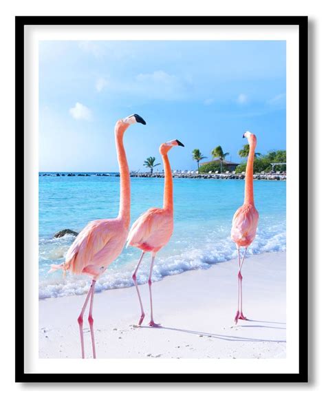 Flamingos on beach in 2021 | Beach art photography, Photography prints art, Flamingo wallpaper