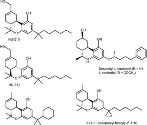 Cannabinoid Receptor Agonists - Cannabinoid Receptor - Drug Times