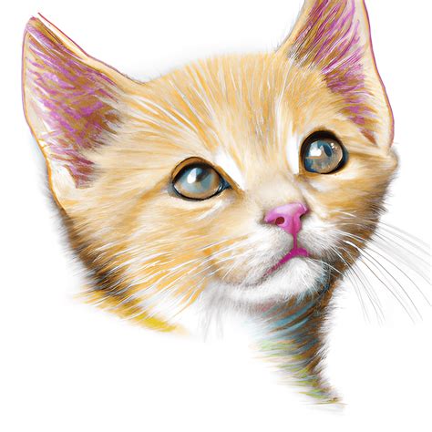 Realistic Kitten Drawing in Color · Creative Fabrica