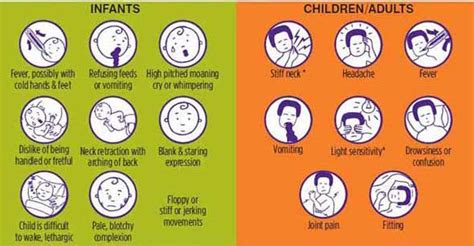 Meningitis - Cause, Symptoms, Treatment - Samarpan Physio