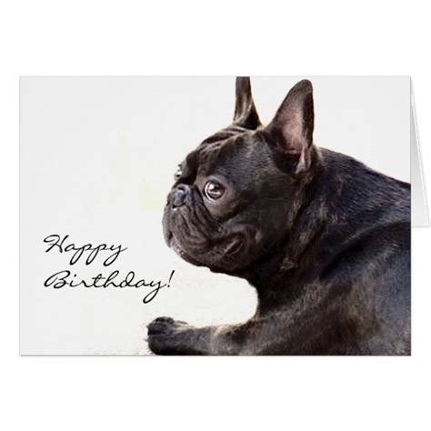 Happy Birthday French Bulldog card | Zazzle