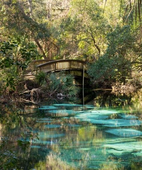 67 best Juniper Springs images on Pinterest | Florida springs, National ...