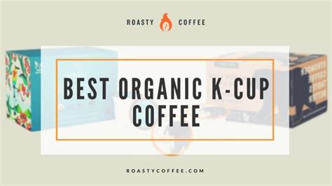 10 Best Organic K Cup Coffees: Delicious & Informative Guide