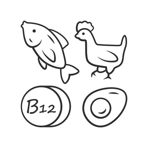 icono lineal de vitamina b12. pescado, aves y huevo. alimentación ...