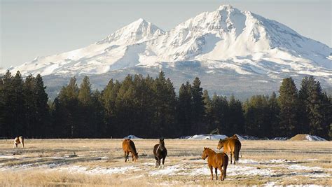 Winter Farming Season Tips | AgAmerica