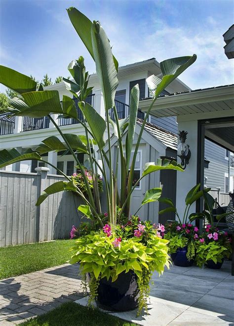 florida condo landscaping 10 best ideas - Florida luxury waterfront condo | Tropical landscaping ...