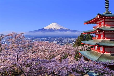 8 Mountains Near Tokyo To Hike At For Breathtaking Views Less Than 2 Hours From The City