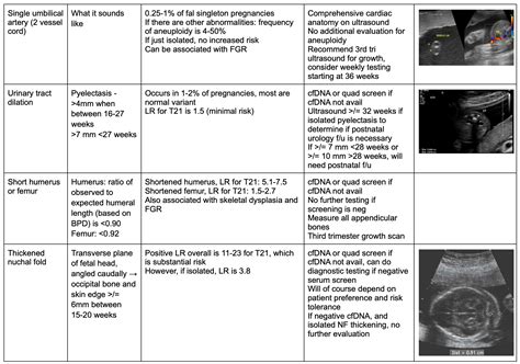 Down Syndrome Ultrasound Markers