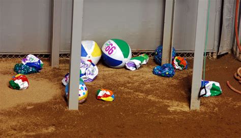 Captured and Tortured Beach Balls are Finally Found and Other AM News ...