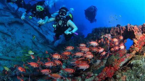 Scuba Diving In India: Explore The Best Of Underwaters