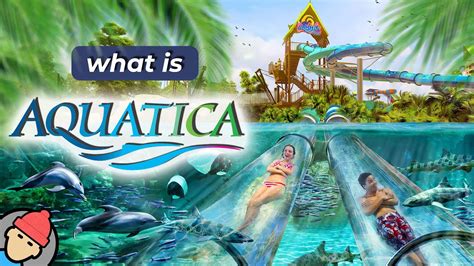 Aquatica Orlando Overview - YouTube