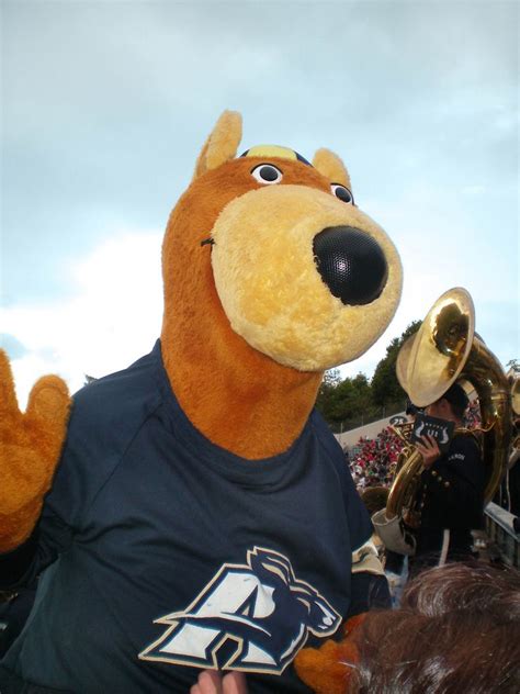 Shot a quick picture of Zippy, The University of Akron's female mascot ...